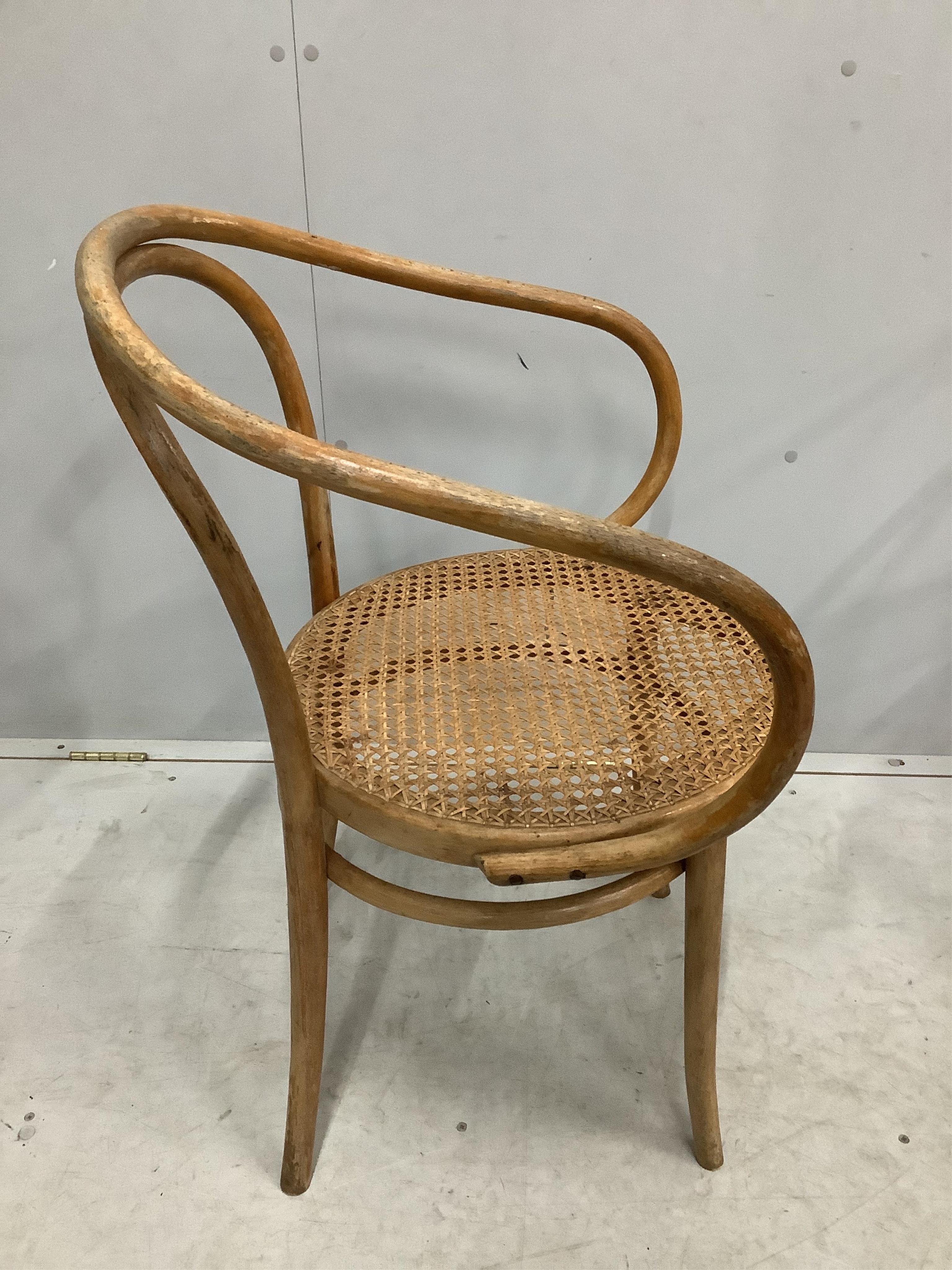 A set of four Thonet bentwood cane seat chairs, model no. 209, width 58cm, depth 48cm, height 84cm. Condition - fair